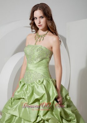 Taffeta Pick-ups Yellow Green Prom Dress with Appliques