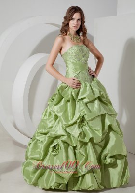 Taffeta Pick-ups Yellow Green Prom Dress with Appliques