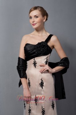 Champagne Tulle One Shoulder Mother Of The Bride Dress