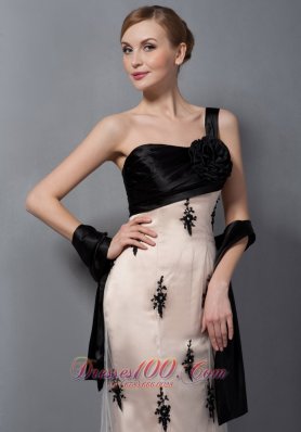 Champagne Tulle One Shoulder Mother Of The Bride Dress