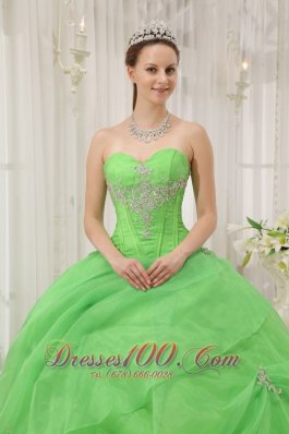 2012 Spring Green Quinceanera Dress Pick-ups Sweetheart