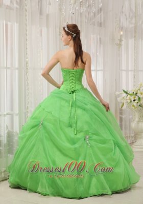 2012 Spring Green Quinceanera Dress Pick-ups Sweetheart