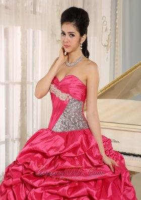 Hot Pink Pick-ups Appliques Ball Gown Quinceanera Dress