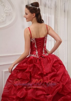 Wine Red Quinceanera Dress Sweep Train Pick-ups straps