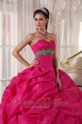 Ball Gown Quinceanera Hot Pink Pick-ups Hand Made Flower