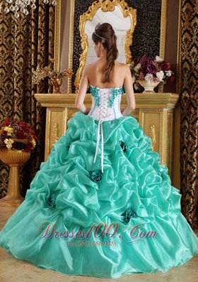 Sweetheart Organza Floral Turquoise Quinceanera Dress