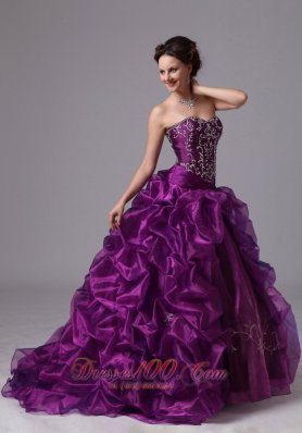 Embroidery and Pick-ups Eggplant Purple Sweep Train Dress for 15