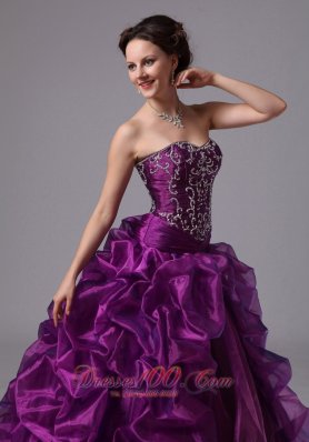 Embroidery and Pick-ups Eggplant Purple Sweep Train Dress for 15