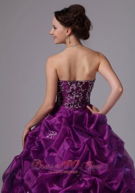 Embroidery and Pick-ups Eggplant Purple Sweep Train Dress for 15