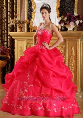 Red Embroidery and Pick-ups Dresses 15 Organza