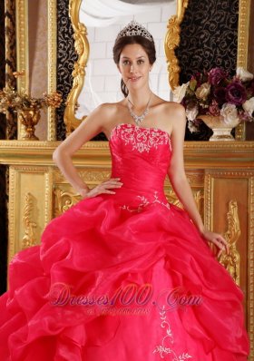 Red Embroidery and Pick-ups Dresses 15 Organza