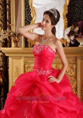 Red Embroidery and Pick-ups Dresses 15 Organza