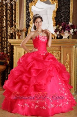 Red Embroidery and Pick-ups Dresses 15 Organza