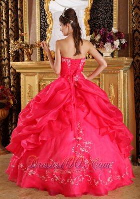 Red Embroidery and Pick-ups Dresses 15 Organza