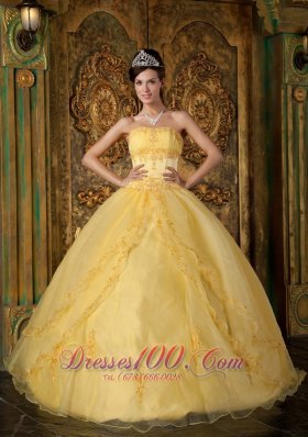 Yellow Appliqued Strapless Floor-length Organza Quinceanera Dress