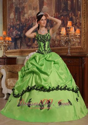 Light Green Taffeta Quince Dresses Spaghetti Straps Appliques