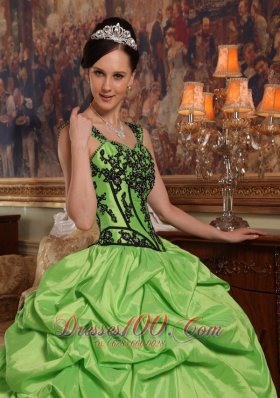 Light Green Taffeta Quince Dresses Spaghetti Straps Appliques