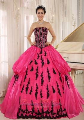 Hot Pink Embroidery Decorate Organza for Quinceanera Dress