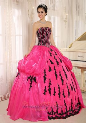 Hot Pink Embroidery Decorate Organza for Quinceanera Dress