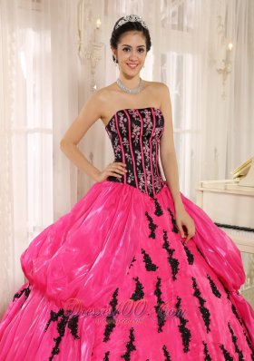 Hot Pink Embroidery Decorate Organza for Quinceanera Dress