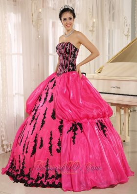 Hot Pink Embroidery Decorate Organza for Quinceanera Dress