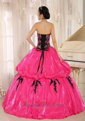 Hot Pink Embroidery Decorate Organza for Quinceanera Dress