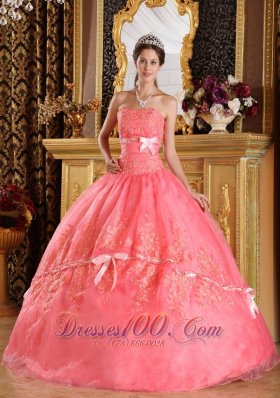 Watermelon Red Appliques Organza Dress for Quinceanera