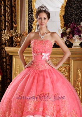 Watermelon Red Appliques Organza Dress for Quinceanera