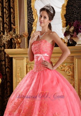 Watermelon Red Appliques Organza Dress for Quinceanera