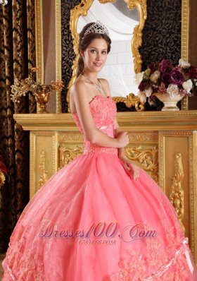 Watermelon Red Appliques Organza Dress for Quinceanera