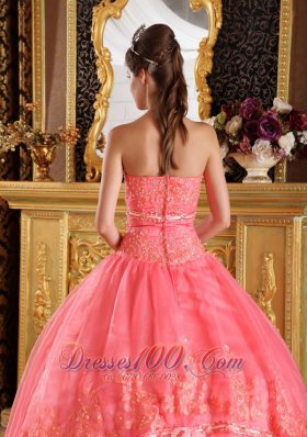 Watermelon Red Appliques Organza Dress for Quinceanera