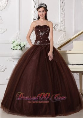 Rhinestones Chocolate Quinceanera Dress Tulle Plus Size