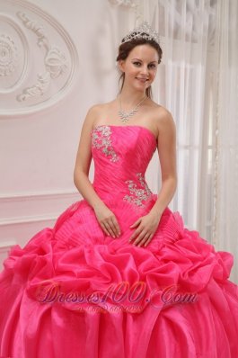 Plus Size Hot Pink Quinceanera Dress Organza Ruch and Beading