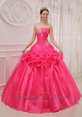 Plus Size Hot Pink Quinceanera Dress Organza Ruch and Beading