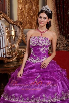 Plus Size Fuchsia Organza Appliques Quinceanera Gowns