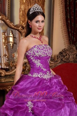 Plus Size Fuchsia Organza Appliques Quinceanera Gowns