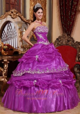 Plus Size Fuchsia Organza Appliques Quinceanera Gowns