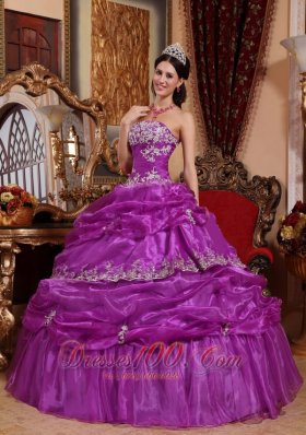 Plus Size Fuchsia Organza Appliques Quinceanera Gowns