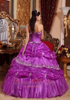 Plus Size Fuchsia Organza Appliques Quinceanera Gowns