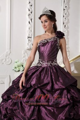 Appliques and Pick-ups Dark Purple Dresses 15 One Shoulder