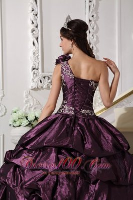 Appliques and Pick-ups Dark Purple Dresses 15 One Shoulder