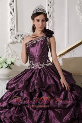 Appliques and Pick-ups Dark Purple Dresses 15 One Shoulder