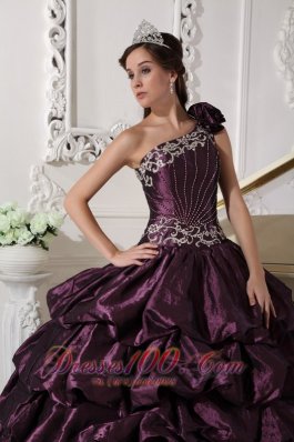 Appliques and Pick-ups Dark Purple Dresses 15 One Shoulder