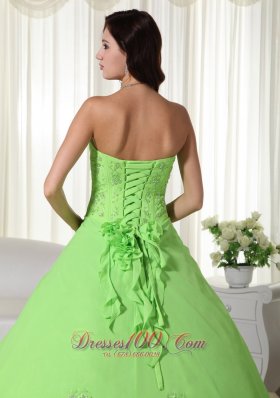 Spring Green Chiffon Beading Quinceanera Dress Plus Size