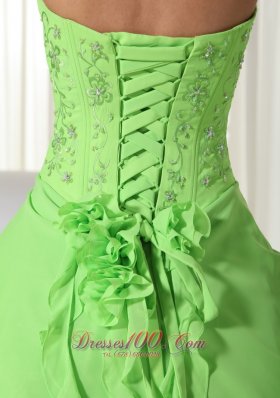 Spring Green Chiffon Beading Quinceanera Dress Plus Size