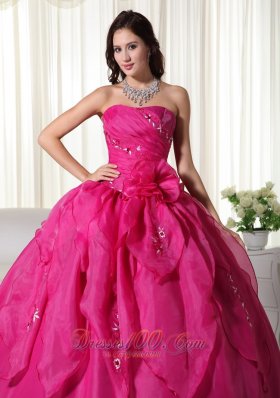 Organza Appliques Fuchsia Ball Gown Quinceanera Dress