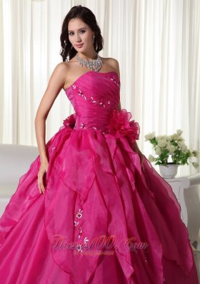 Organza Appliques Fuchsia Ball Gown Quinceanera Dress