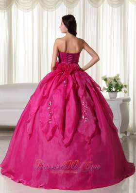 Organza Appliques Fuchsia Ball Gown Quinceanera Dress