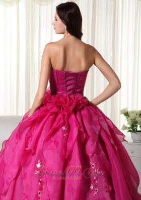 Organza Appliques Fuchsia Ball Gown Quinceanera Dress