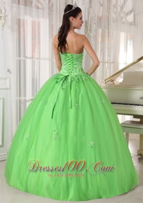 Spring Green Dresses Quinceanera Taffeta and Tulle Appliques